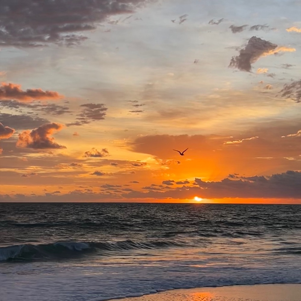 Meet your Posher, Mary jane